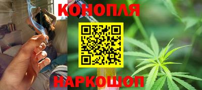 гашик Бердск